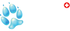 logo of moncton animal hospital in moncton new brunswick