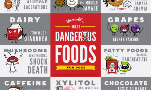 toxic food for dogs