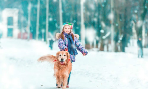 Getting Your Pet Ready for Cold Season